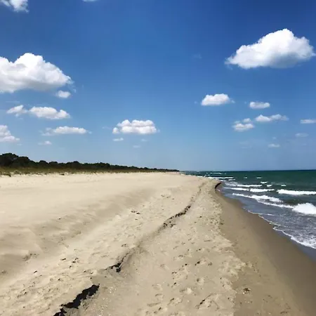 Via Papa Giovanni Xxiii - 5 *
